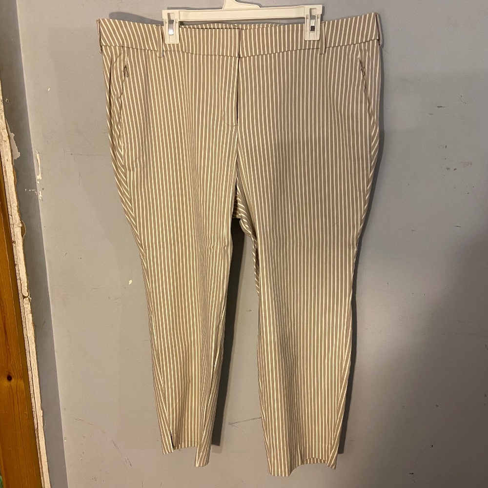 Lane Bryant Striped Dress Pants